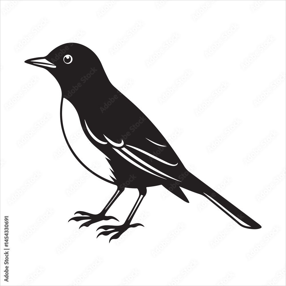 Obraz premium american robin silhouette black vector