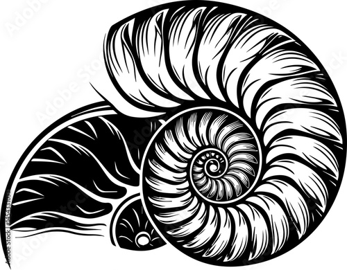 SVG vector illustrating reef rehabilitation and marine ecosystem restoration. Black and White Illustration of a Nautilus Shell Design