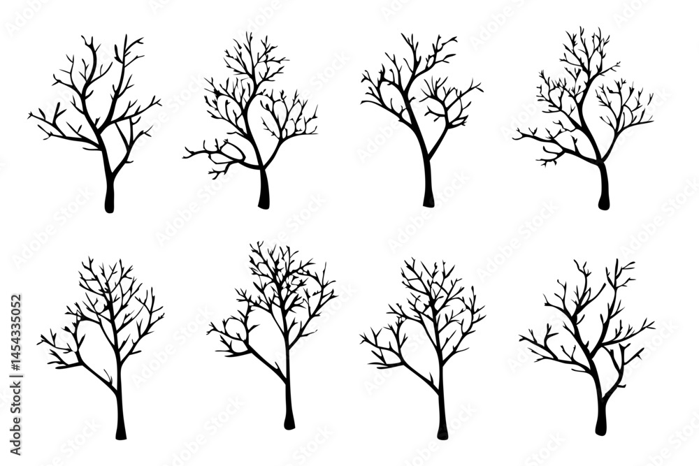 Obraz premium Winter Bare Tree, Silhouette Isolated on White Background