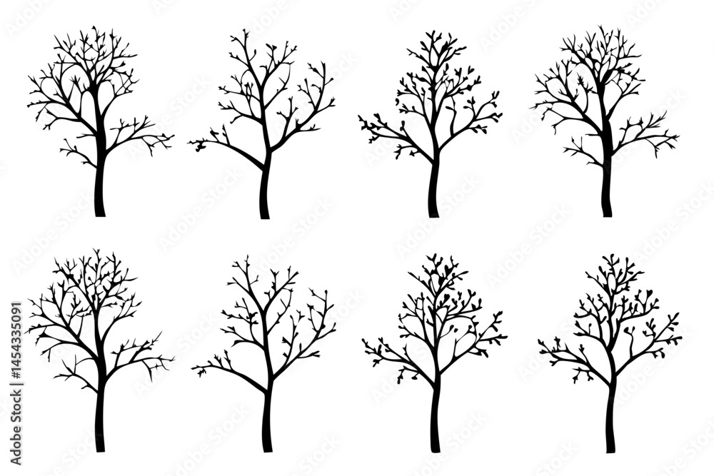 Obraz premium Leafless Black Bare Tree Outline Silhouette vector Illustration