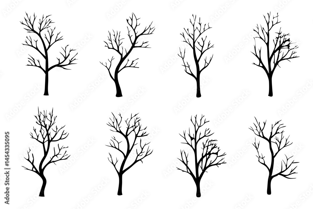 Obraz premium Winter Bare Tree, Silhouette Isolated on White Background