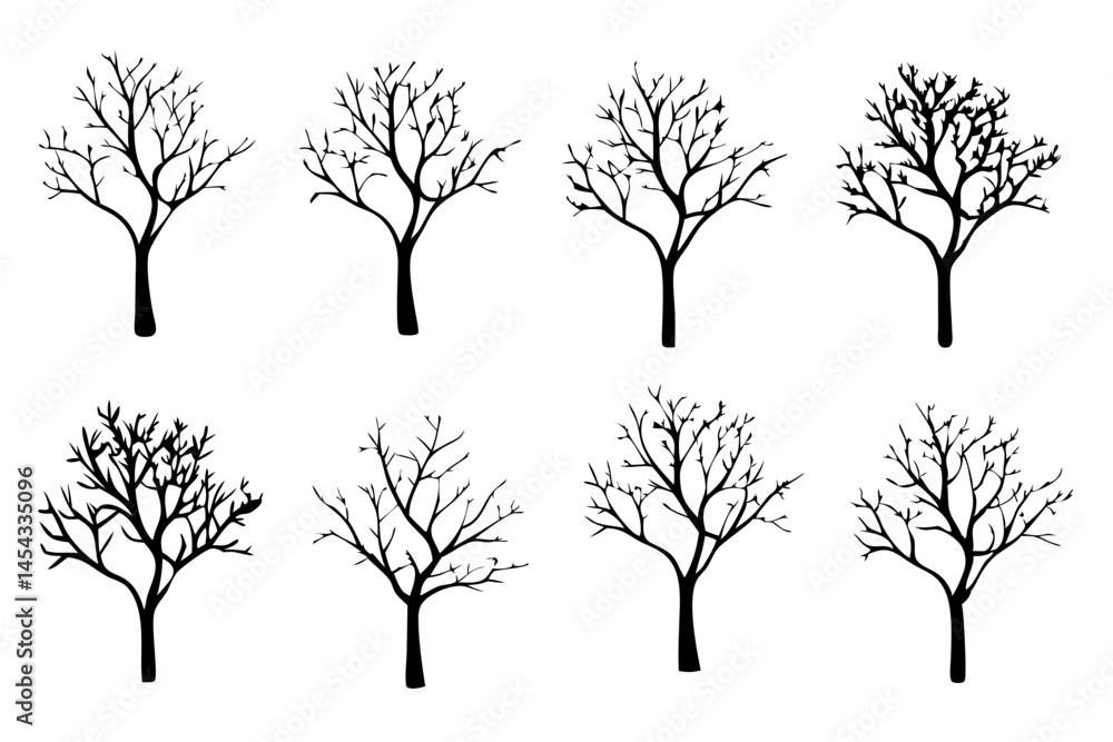 Obraz premium Leafless Black Bare Tree Outline Silhouette vector Illustration