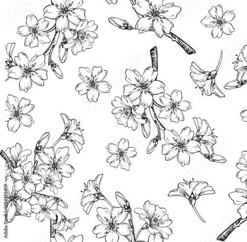 Almond blooming branch vector seamless pattern hand drawn with ink. Flowers and buds. Template for label and textile design