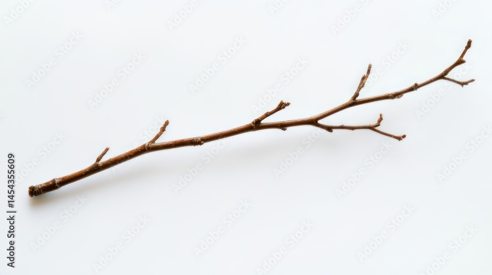 Slightly curved twig, centered with minimalist composition, pure white backdrop Slightly curved twig, centered with minimalist composition, pure white backdrop