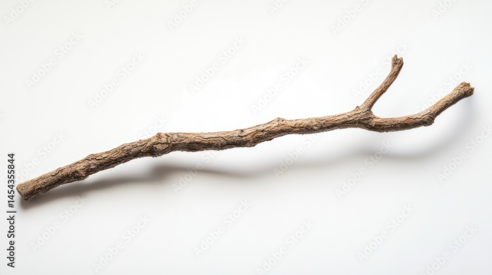 Fototapeta premium Small broken branch with visible bark texture, white studio backdrop