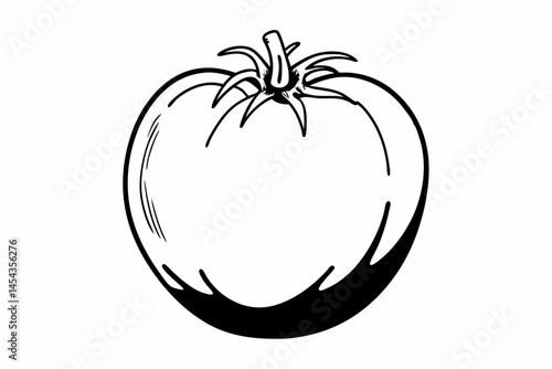 tomato vector illustration