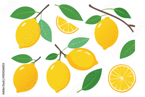 Lemons fruits on branches with leaves and slices vector illustration set. Clipart of summer italian transiterranean citrus fruits on isolated background. For packaging design and ingredients.