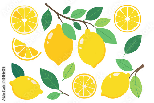 Lemons fruits on branches with leaves and slices vector illustration set. Clipart of summer italian transiterranean citrus fruits on isolated background. For packaging design and ingredients.