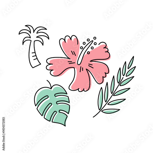 夏の植物の手描きイラスト