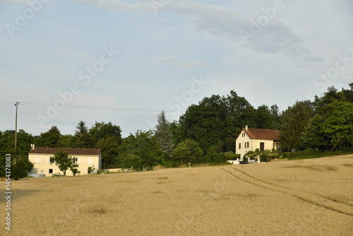 Champ de blé en pente devant un bois au bourg de Champagne au Périgord Vert 