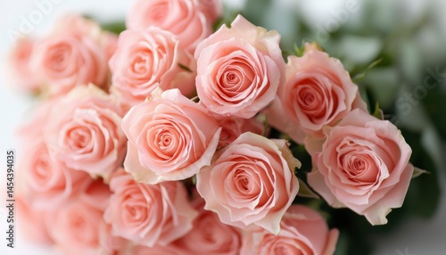 Soft pink roses bouquet close-up