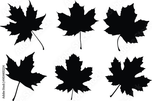set of autumn leaves silhouette vector