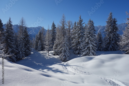 inverno