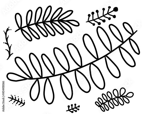 various kind of leaves 