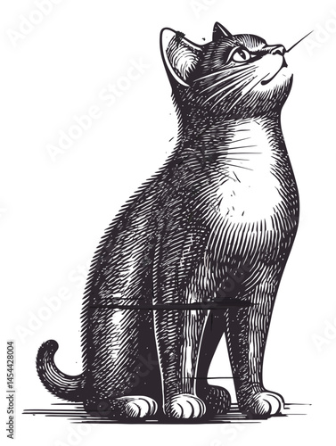 Detailed Vintage Illustration of a Cat in a Classic Style Design