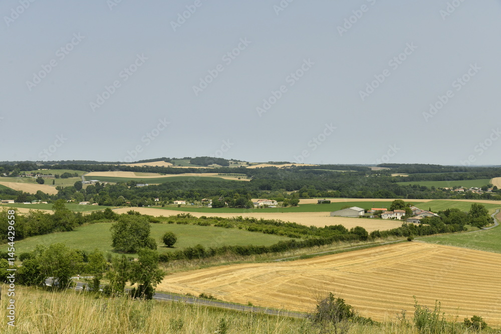 Fototapeta premium Vaste champ de blé vu depuis la colline du château-fort de Villebois-Lavalette en Charente 