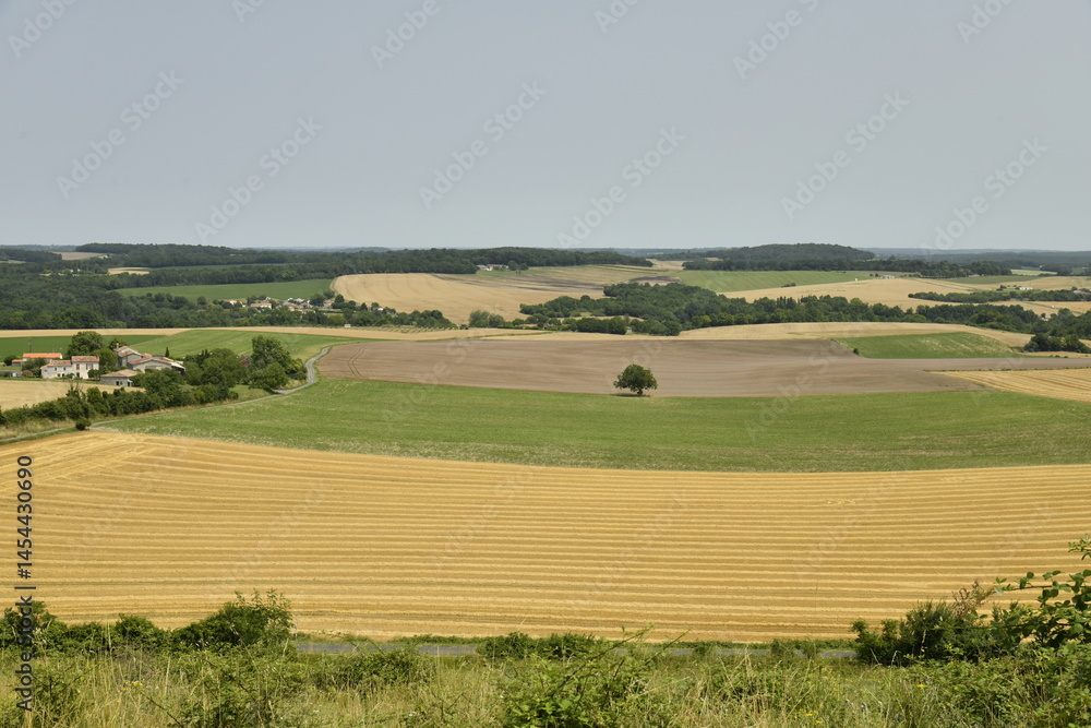 Obraz premium Vaste champ de blé vu depuis la colline du château-fort de Villebois-Lavalette en Charente 