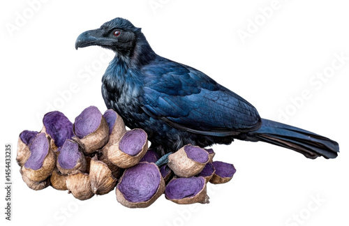 dark bird on purple roots