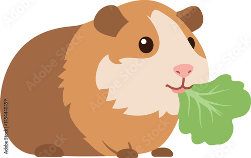 Guinea Pig Eating Leaf Vector Illustration for   Tshirt  Projects Design Ideas 