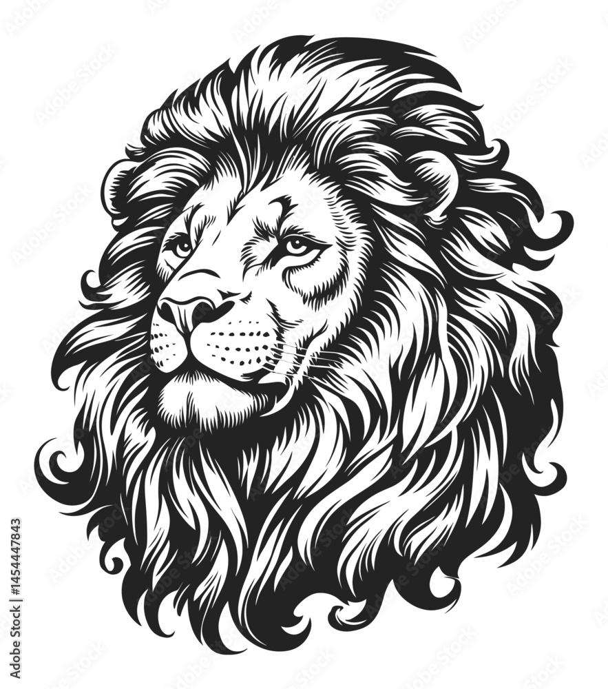Obraz premium Majestic Black and White Lion Illustration with Flowing Mane Details