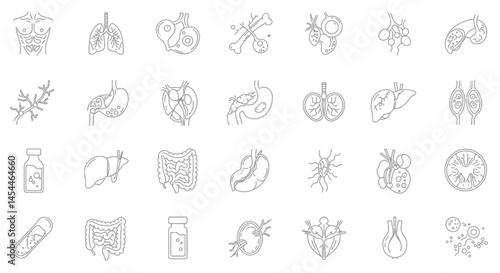 Gray Outline Illustration of Human Anatomy Organs Muscles and Medicine