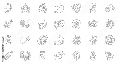 Grey Outline Medical Icons Human Organs and Microbes