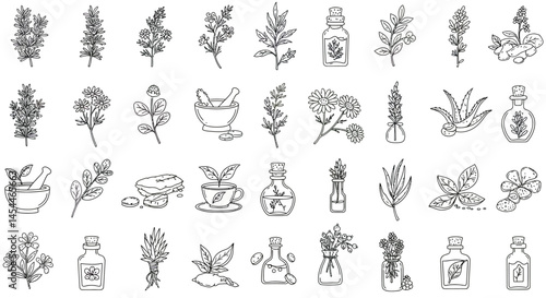 Herbal Remedies Collection Line Art Botanical Illustrations