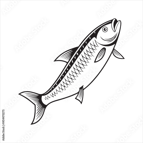 anchovy vector icon with a white background