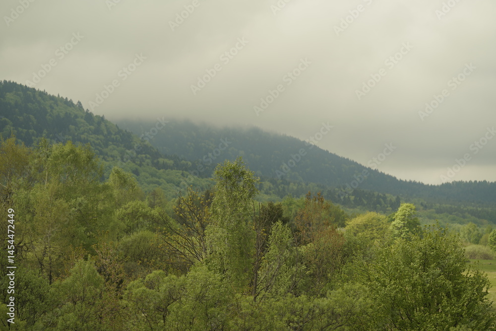 Naklejka premium fog in the mountains
