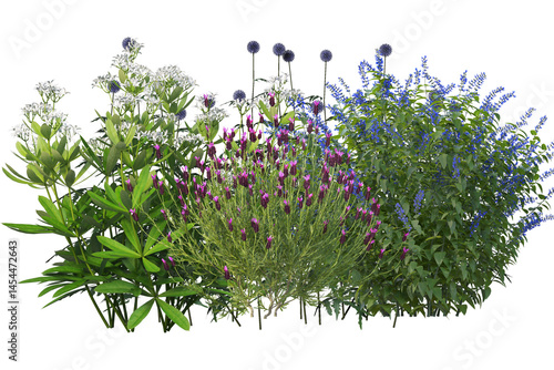 Obraz na plátně Shrub with diverse flowers, isolated collection of grasses bushes and small plan