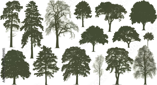 Silhouette tree collection in black with diverse deciduous species each drawn with distinct branching complexity presented on a white background for botanical and nature design
