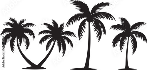 Silhouette illustration of a tall palm tree with coconuts at the top set against a clean white background evoking tropical vibes and exotic island nature beauty