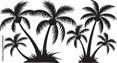 Minimalist silhouette of a palm tree with coconuts isolated on a clean white background offering a tropical and summery natural feel for design and decoration