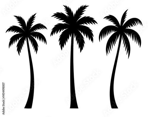 Three palm trees are shown in black and white. The trees are tall and slender, with long, thin leaves. The image has a serene and peaceful mood, as the trees are depicted in a calm