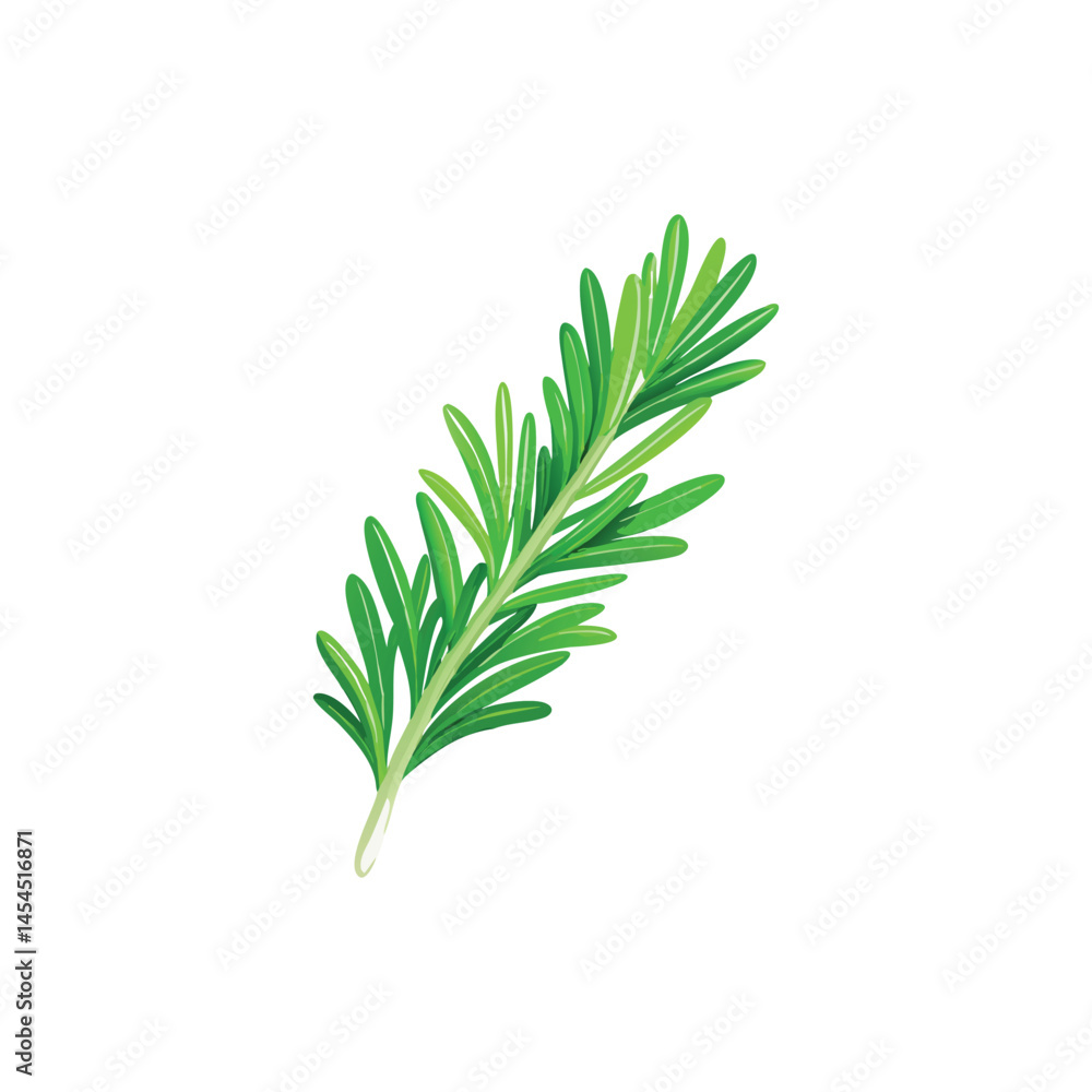 fresh dill isolated on white fresh dill isolated on white