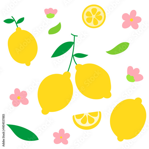 lemon with green leaves, lemon slice and white flower, citrus fruit botanical flat vector illustration