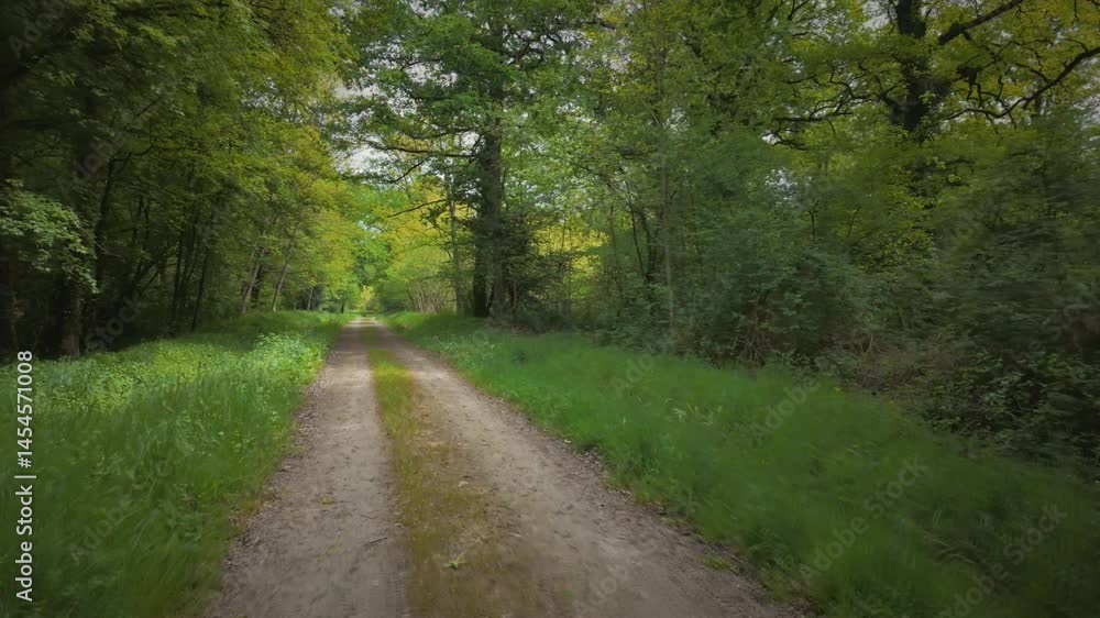 Smooth tracking shot along a path surrounded by lush green vegetation and trees. Filmed with a gimbal and tilt-shift effect, creating a miniature-like blur. Natural, serene, and immersive atmosphere. Smooth tracking shot along a path surrounded by lush green vegetation and trees. Filmed with a gimbal and tilt-shift effect, creating a miniature-like blur. Natural, serene, and immersive atmosphere.
