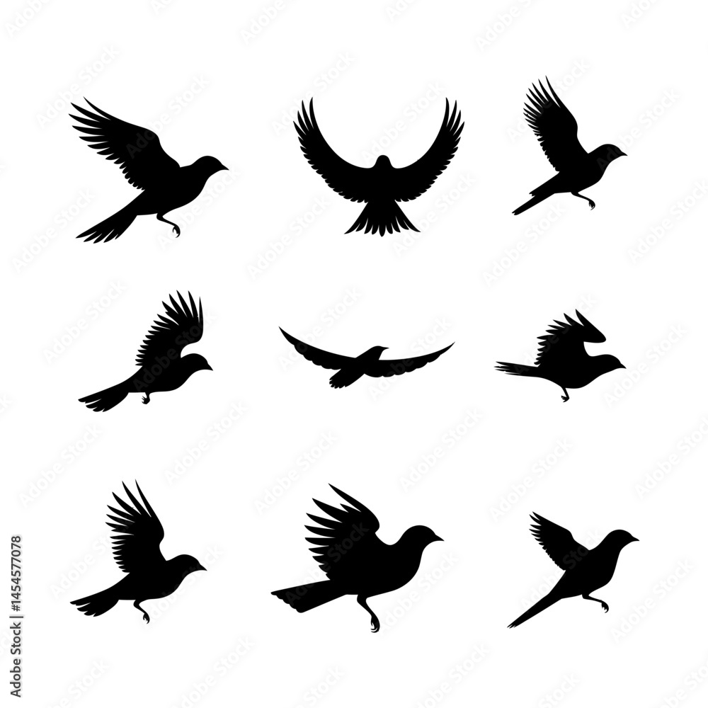 Obraz premium Soaring Bird Silhouette Illustration set clipart