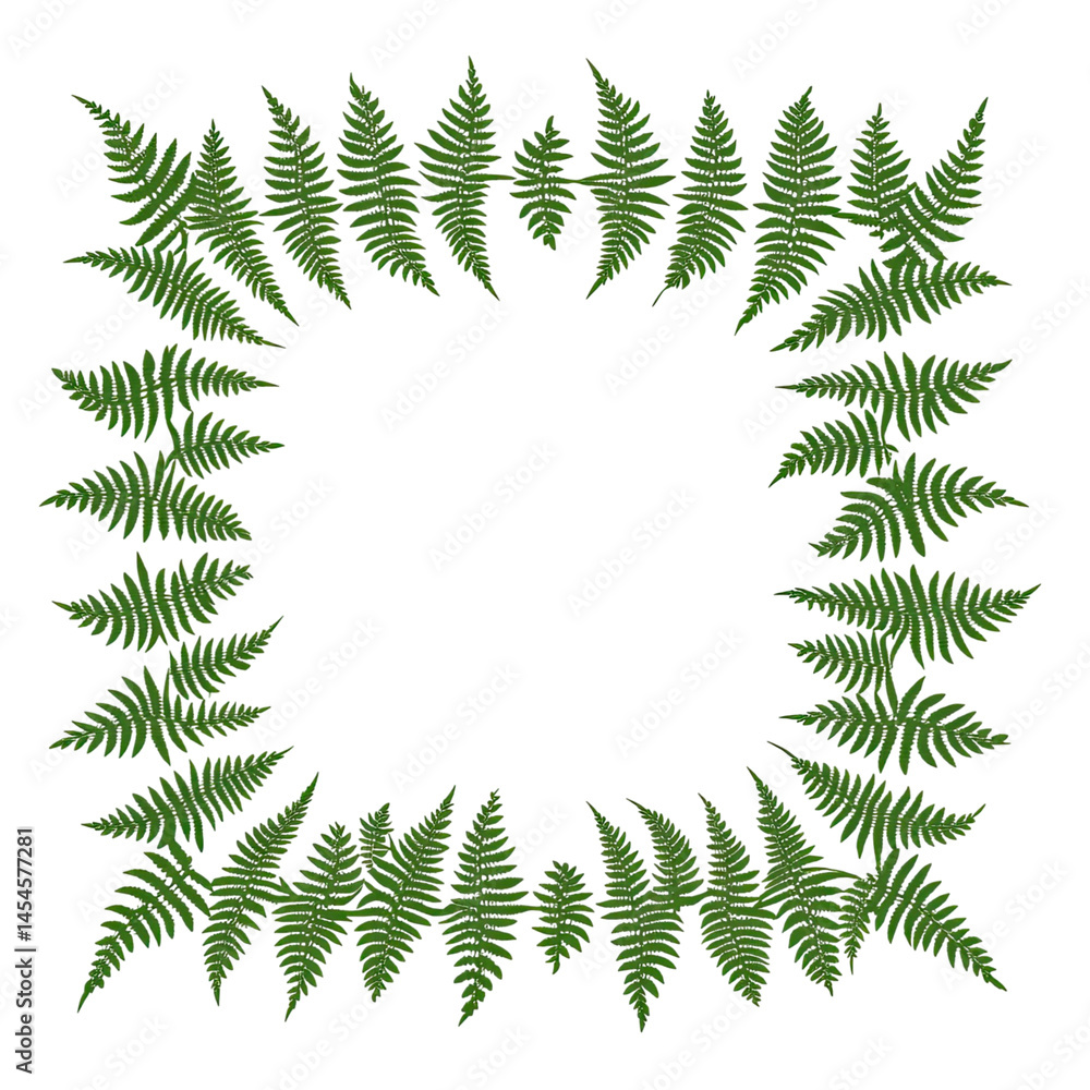 custom made wallpaper toronto digitalGreen plant arranged as a square border with a transparent background featuring a natural, organic design element with detailed foliage.