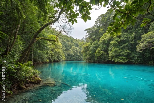 Serene Tropical River Surrounded by Lush Greenery in Vibrant Turquoise Waters