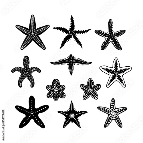 Starfish Silhouette set clipart