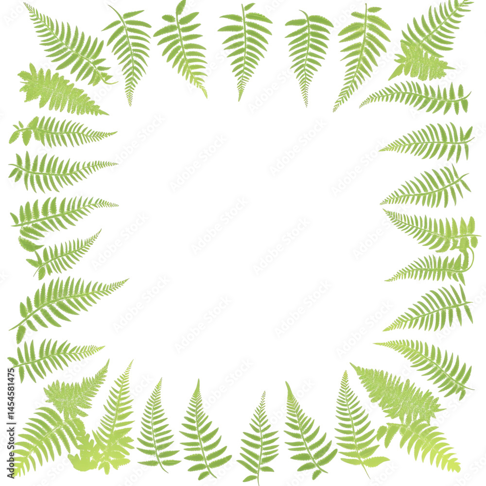 custom made wallpaper toronto digitalFern leaves arranged in a square border isolated on transparent background with a minimalist aesthetic and natural elements emphasizing the fresh green color and organic shapes