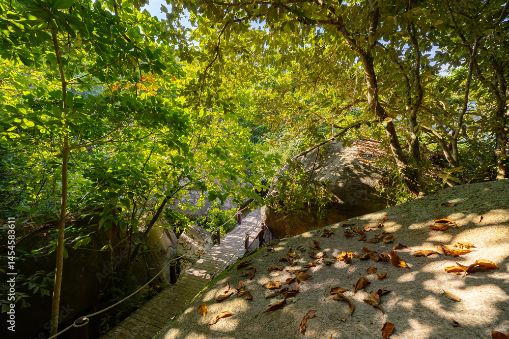 Landscape jungle of Similan island in Phang Nga, Thailand Landscape jungle of Similan island in Phang Nga, Thailand