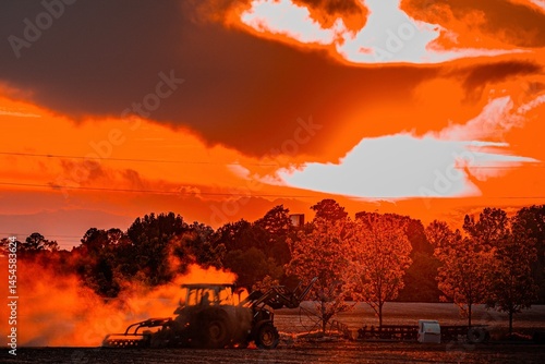 sunset in the forest