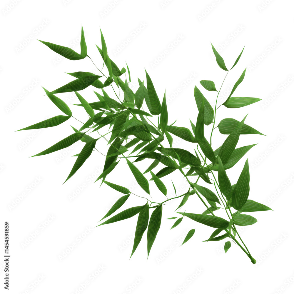 Fototapeta premium Lush Green Bamboo Branch Isolated on Green Screen