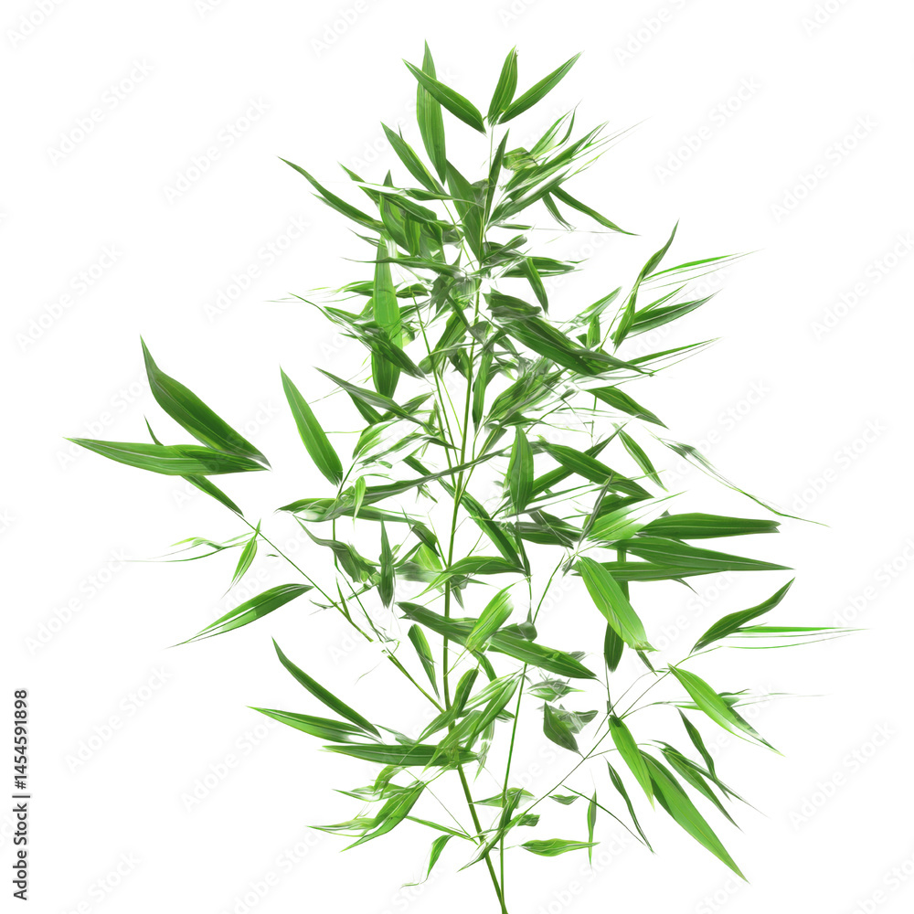 Naklejka premium Lush Green Bamboo Sprig - Vibrant Tropical Plant
