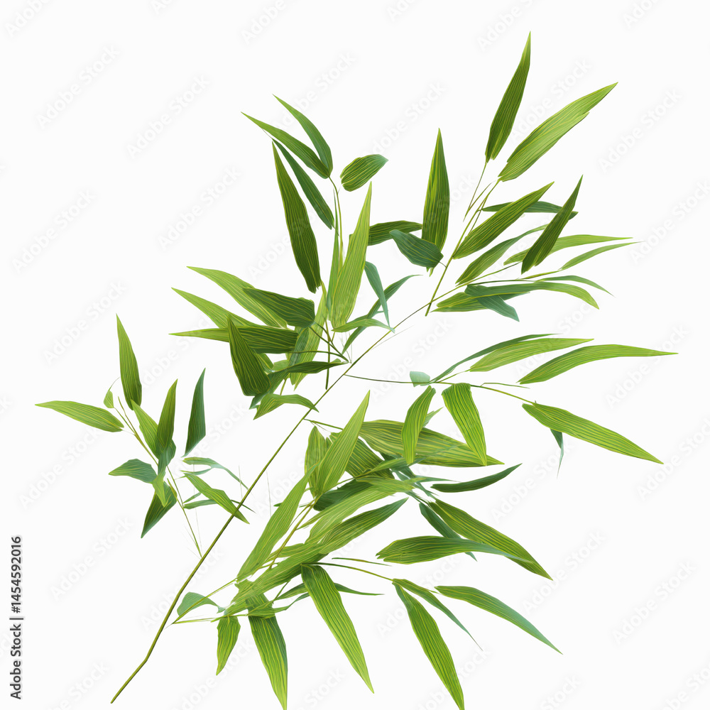 Lush Green Bamboo Branch Isolated on Gray Lush Green Bamboo Branch Isolated on Gray