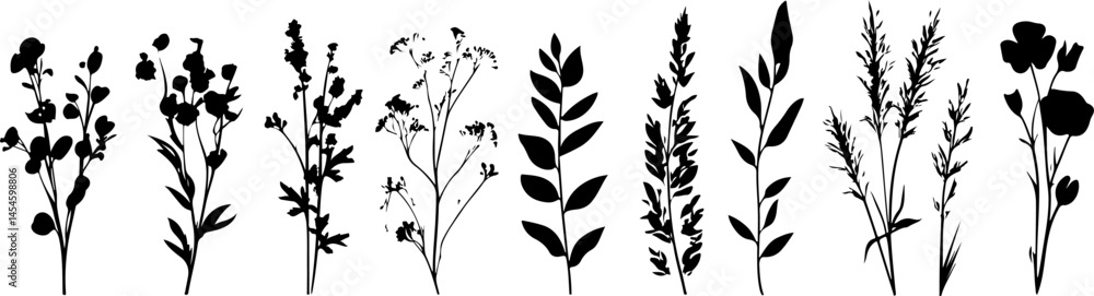 Silhouettes of Various Plants and Flowers with Unique Shapes and Structures
Silhouettes of Various Plants and Flowers with Unique Shapes and Structures