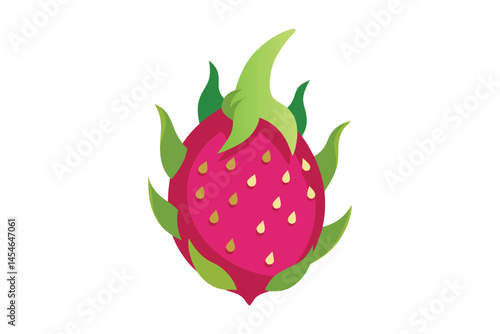Dragon fruit vector illustration on white background