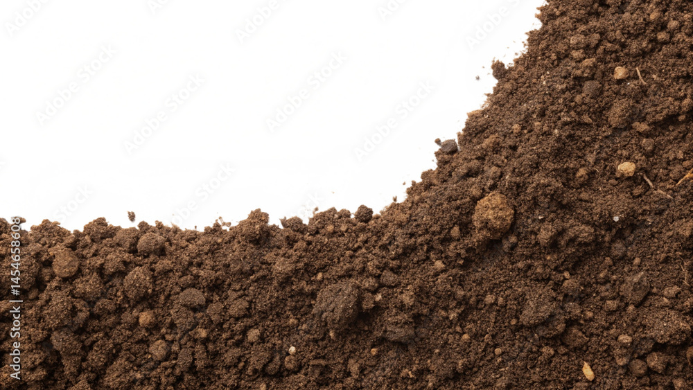 soil in the ground soil in the ground